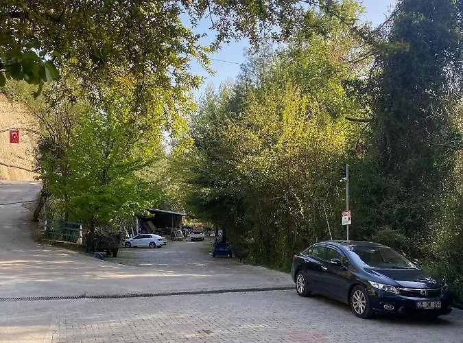 Yuvarlakcay Cinar Butik *